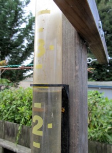 Rain gauge at 2.5 inches from yesterday's storm.